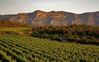 Domaine de Brunet en Languedoc