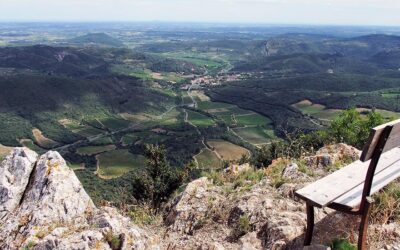 Vins de CABRIERES…. et Cave de L’ESTABEL